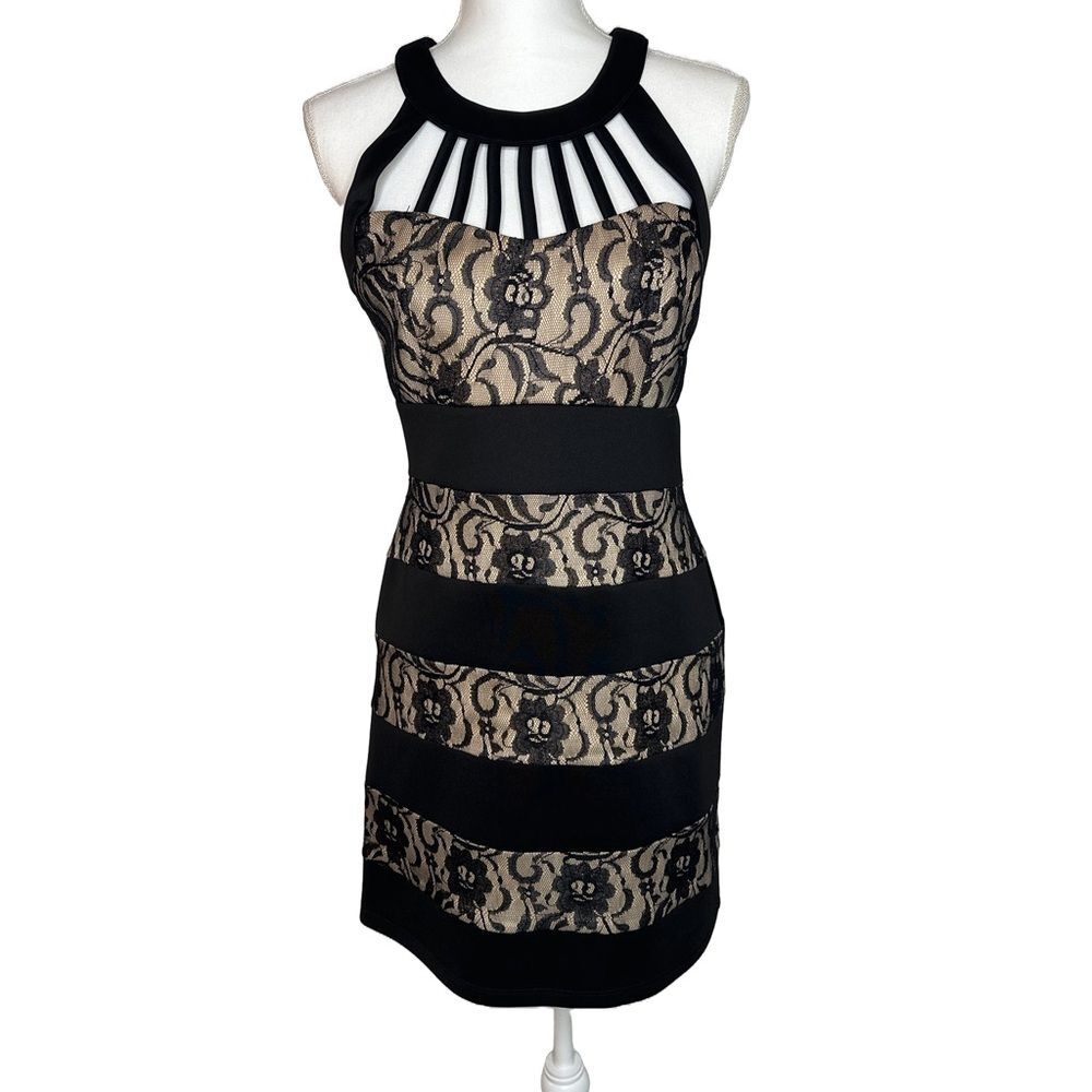 Windsor Sexy Black Lace Cutout Lace Dress 8/10